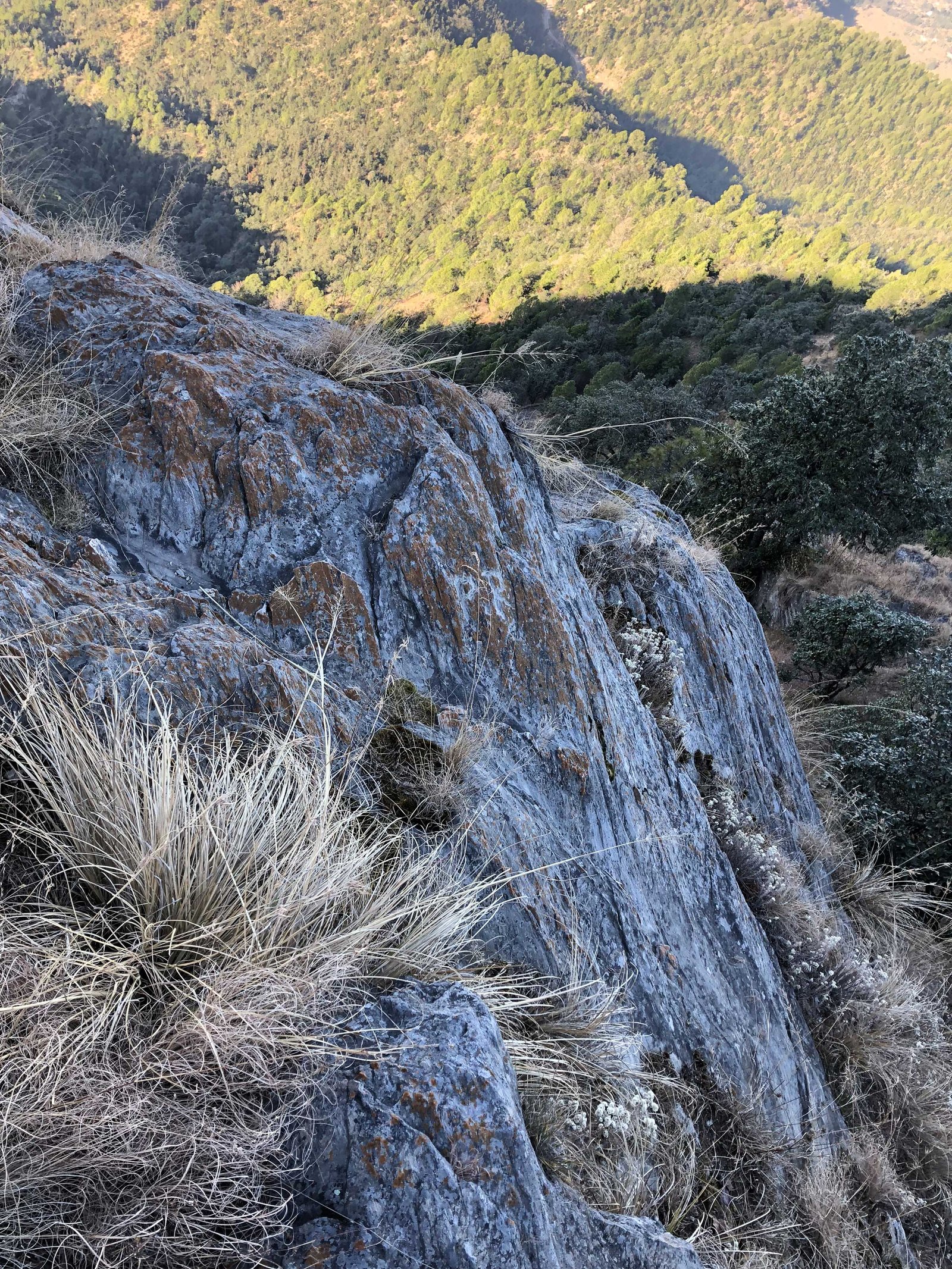 Himalayas, Rock Cliff
