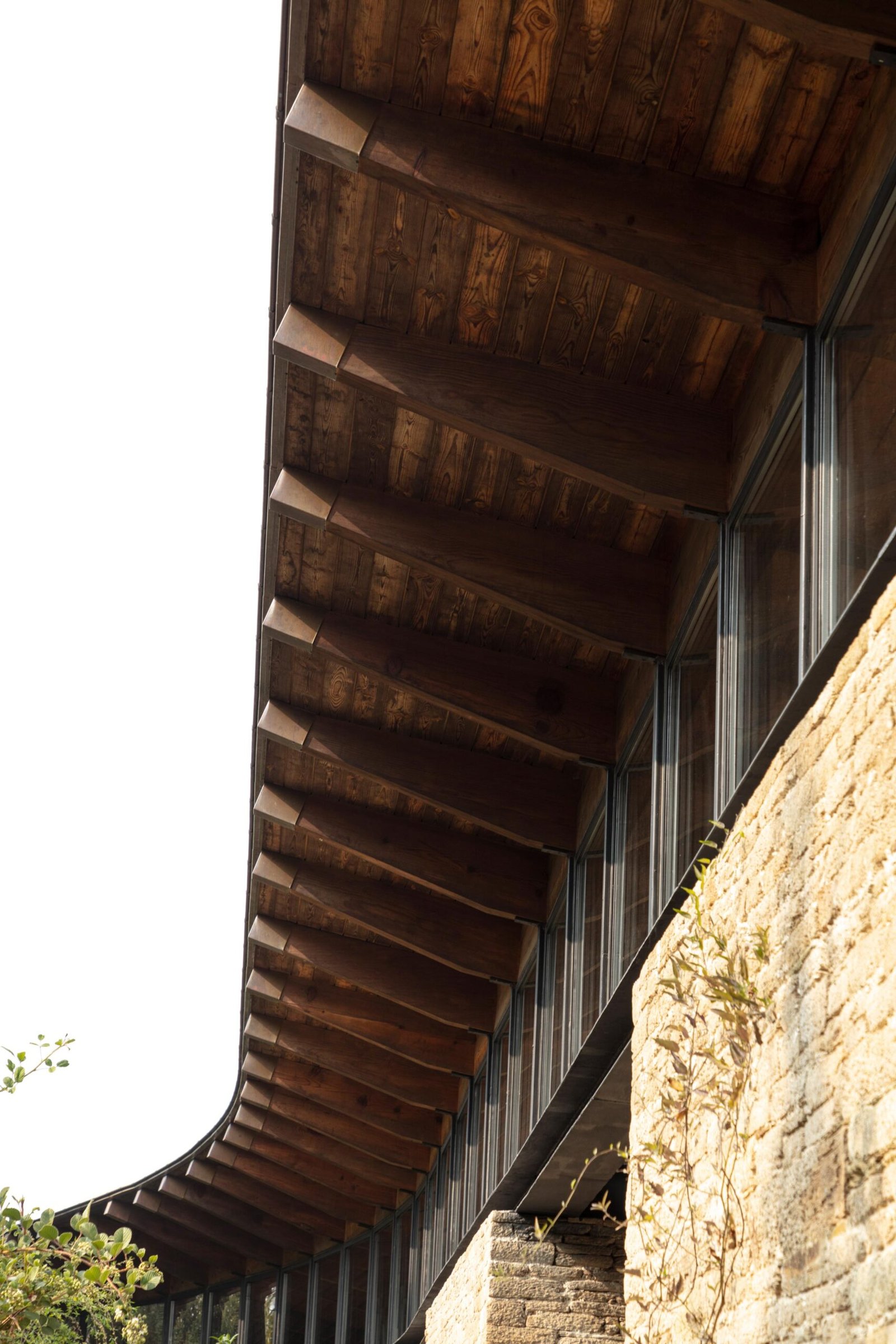 Himalayan Mountain Home curved roof