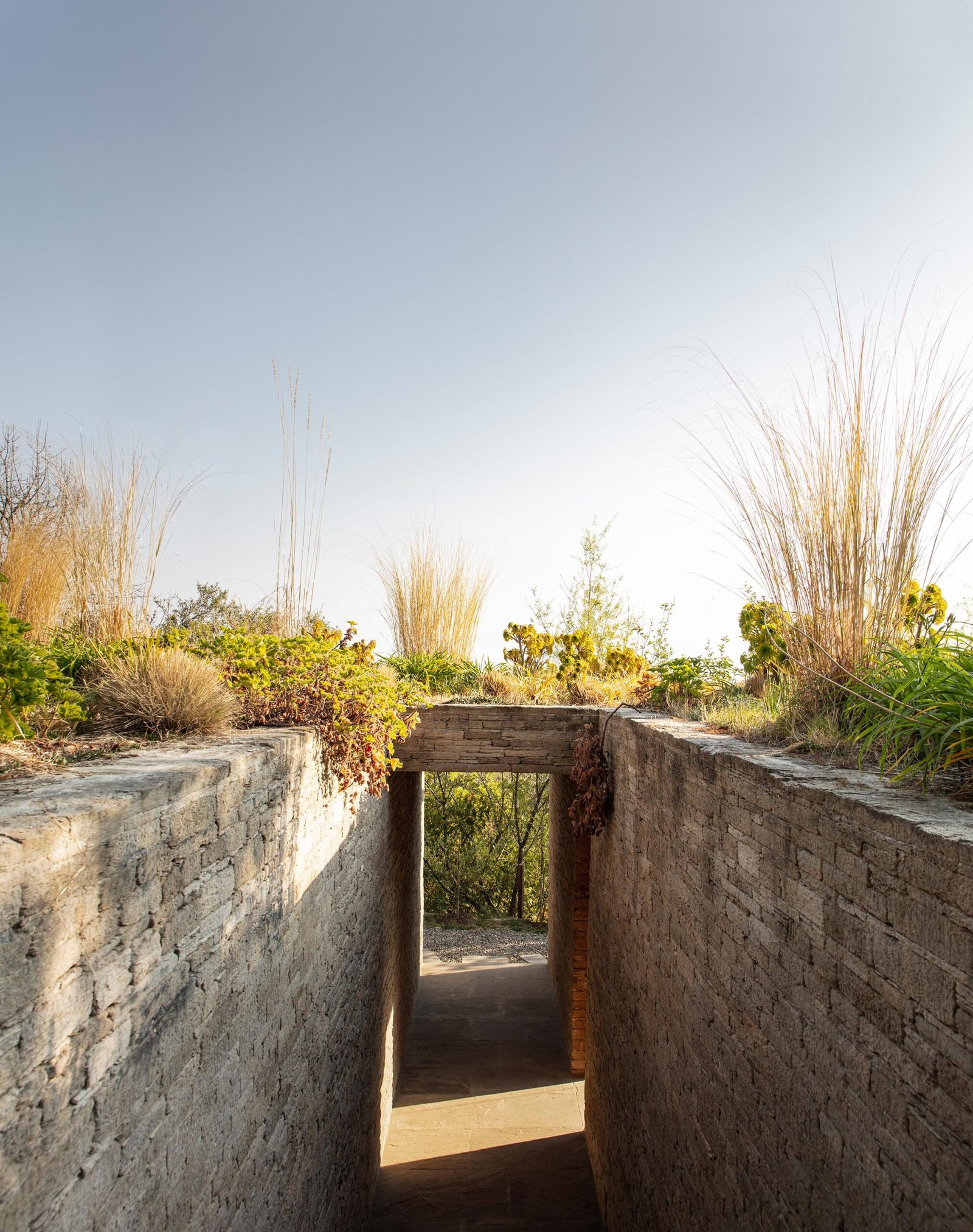 Himalayan Mountain Home green roof