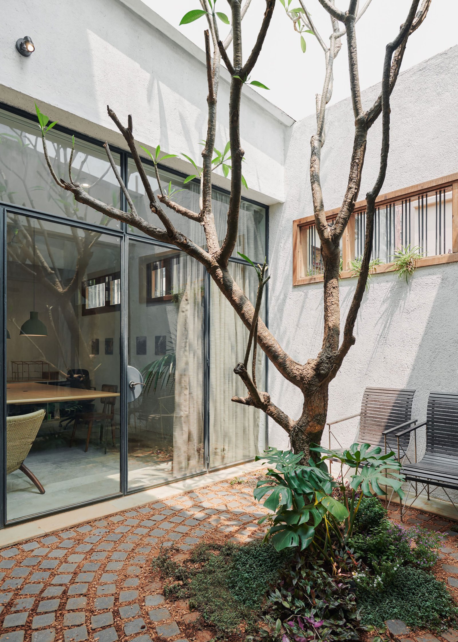 Mumbai Architecture Studio courtyard with frangipani tree in