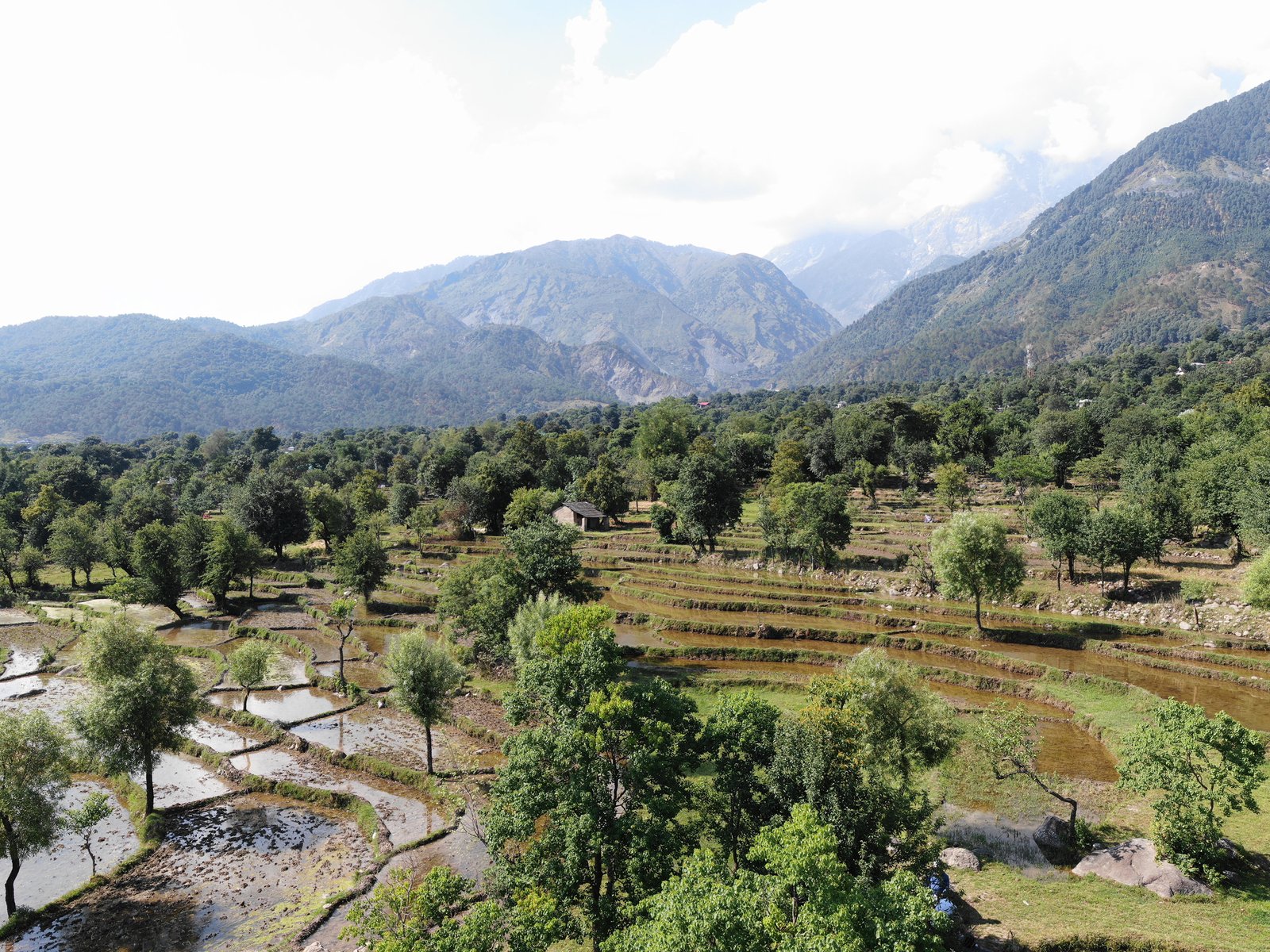 aerial drone photograph with terraced fields and Dhauladhar mountain range