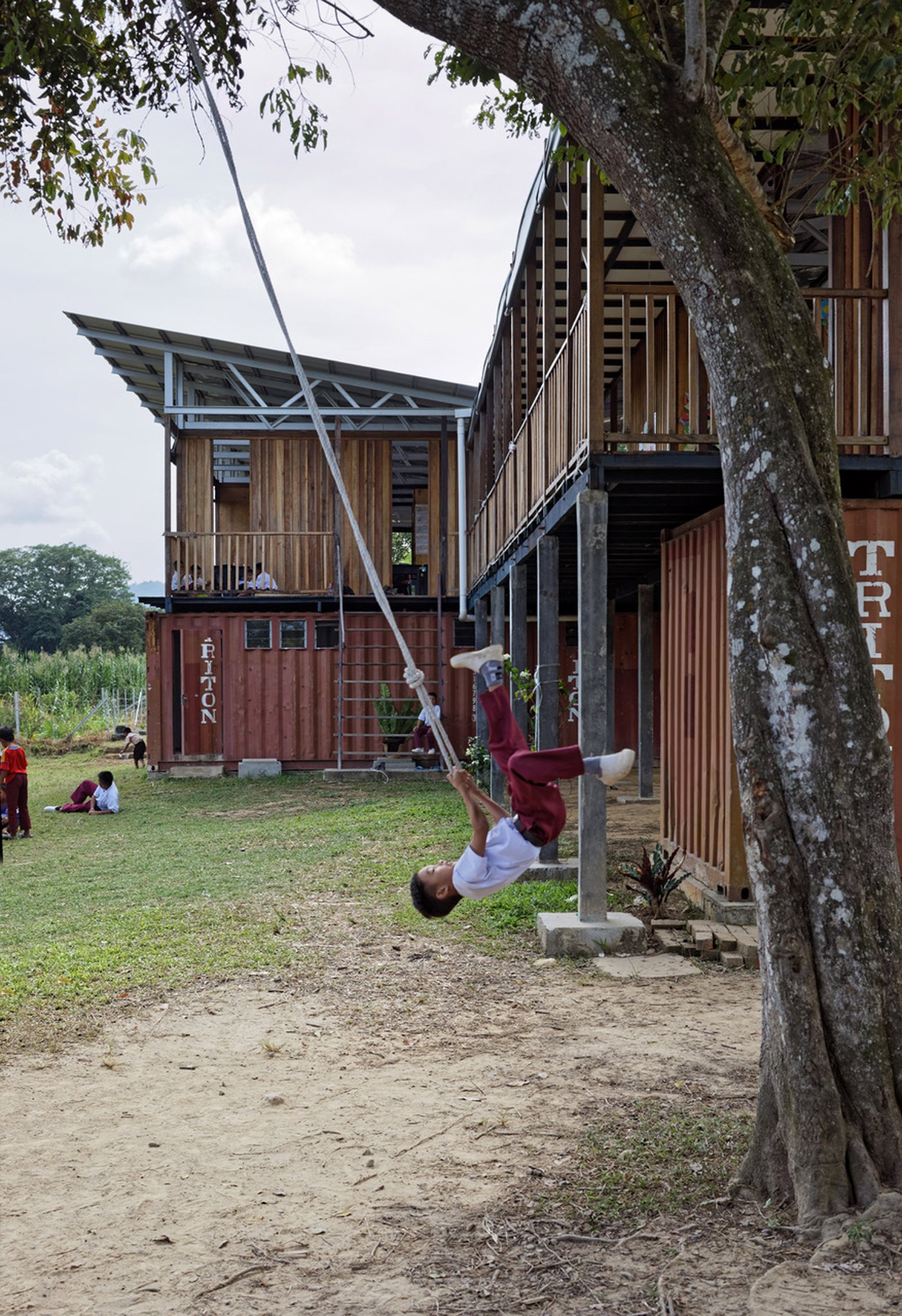 Etania Green School - Architecture BRIO child swinging from tree