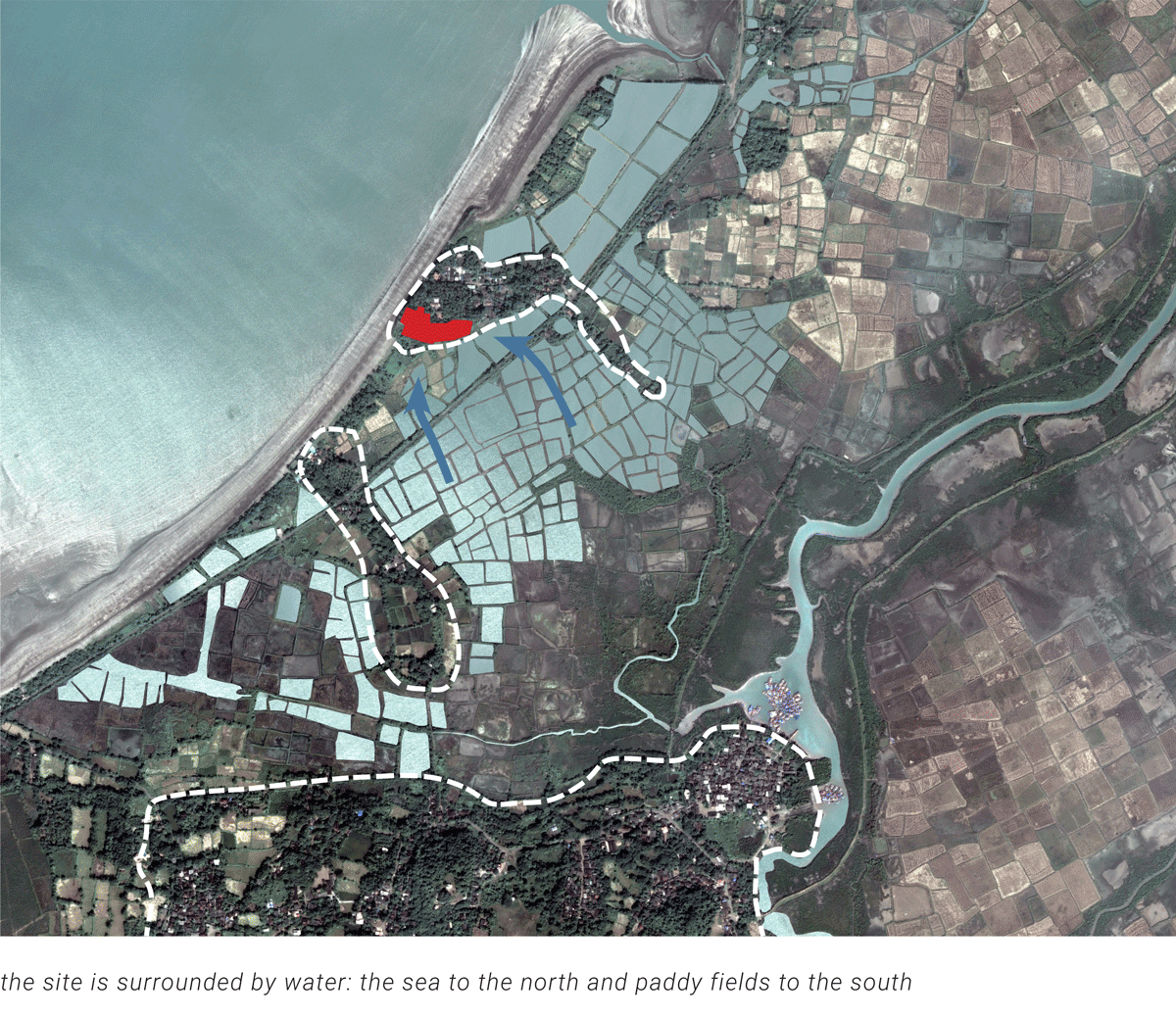 ecological context of water habitat