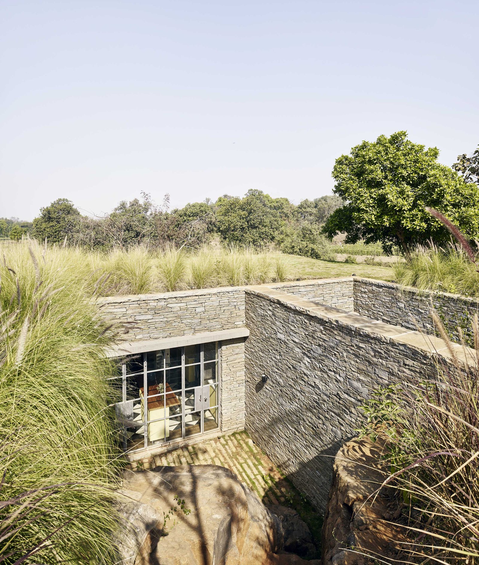 Riparian House kitchen courtyard