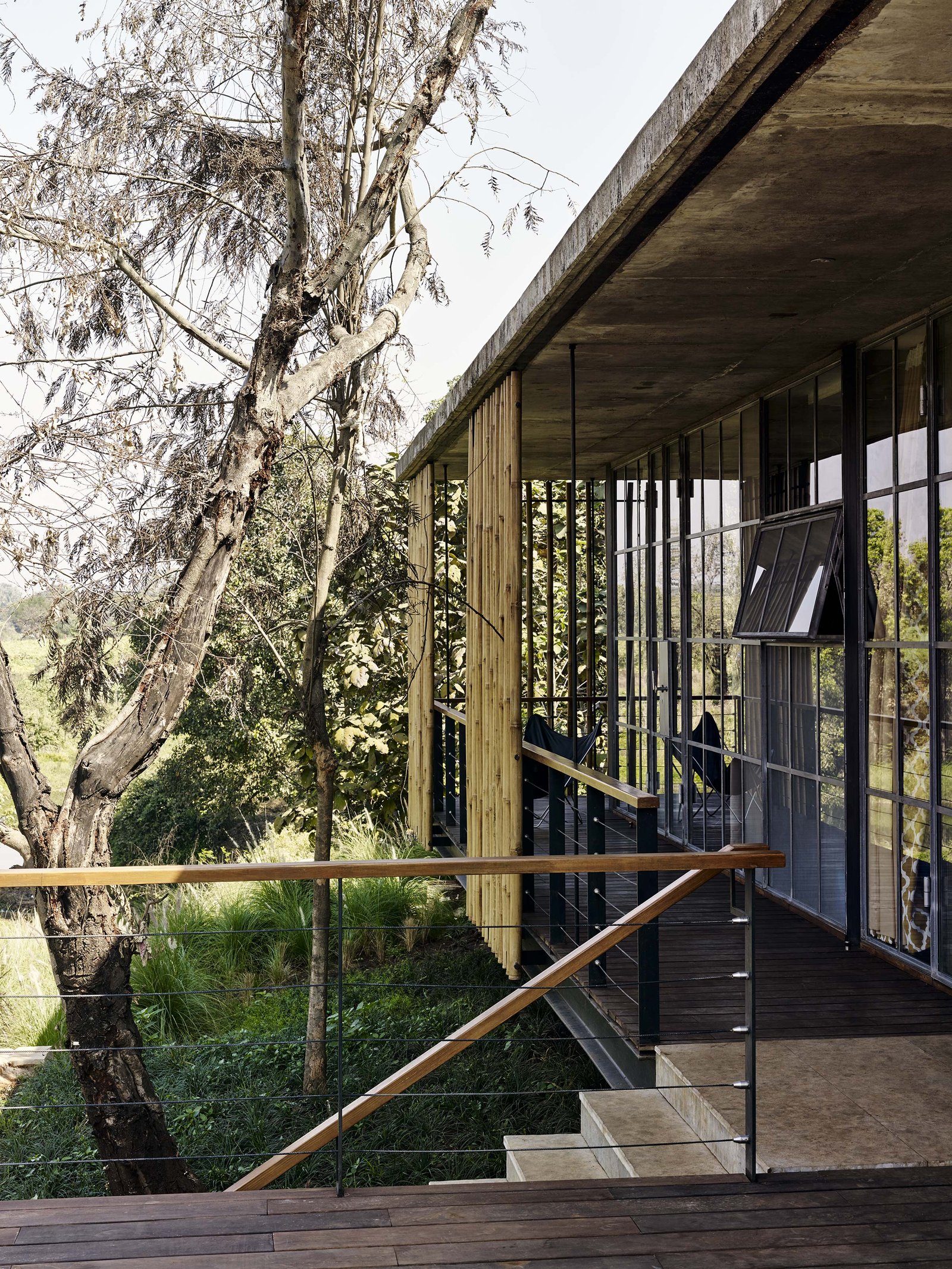 Riparian House verandah bamboo screen