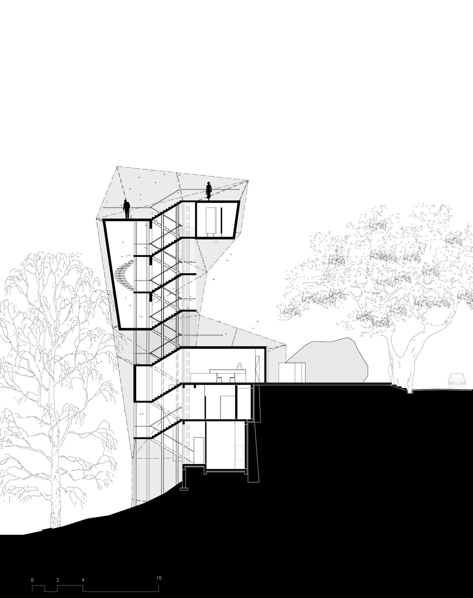 Section of Butterfly Reserve Observation Tower