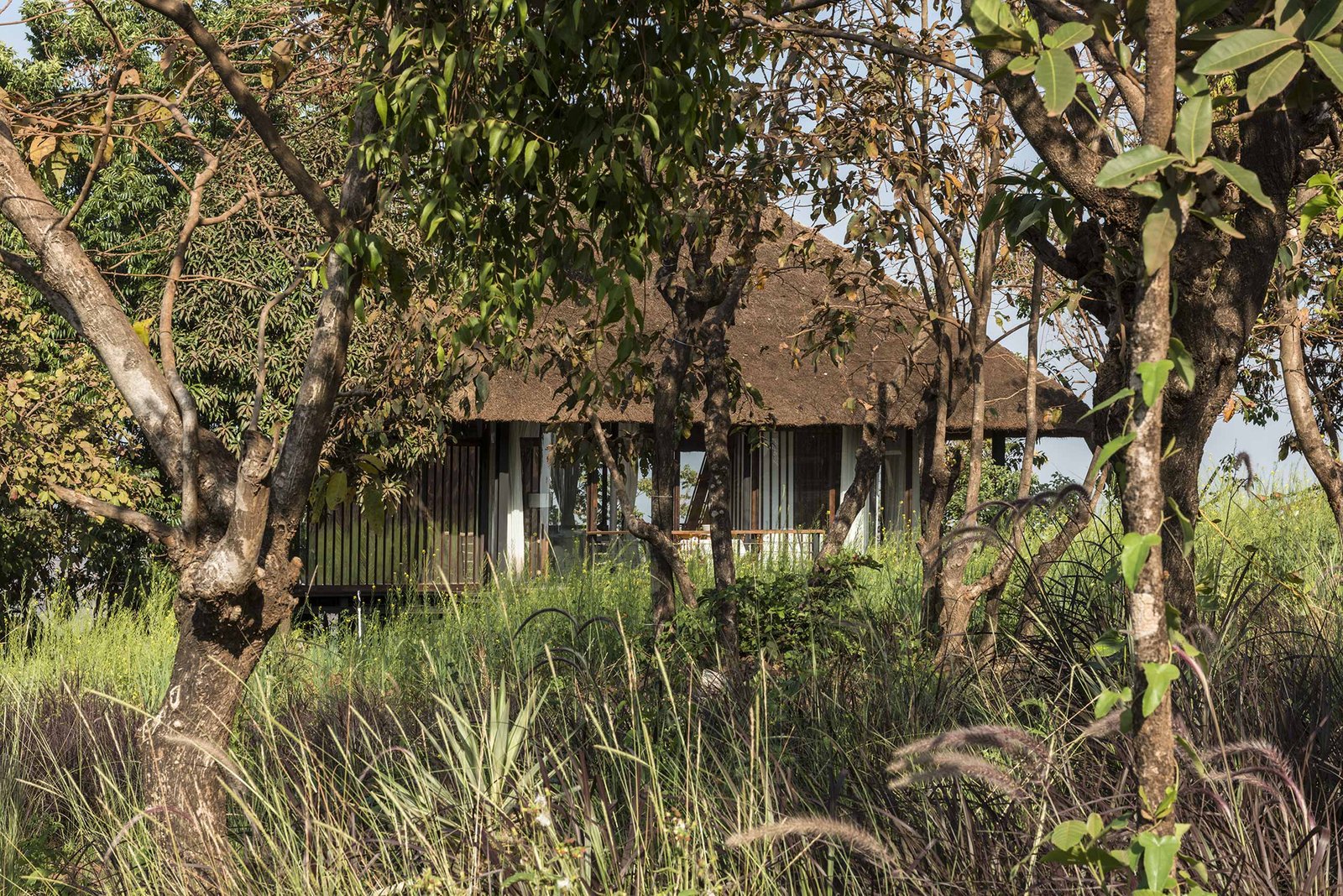Tala Treehouse villa in a forest