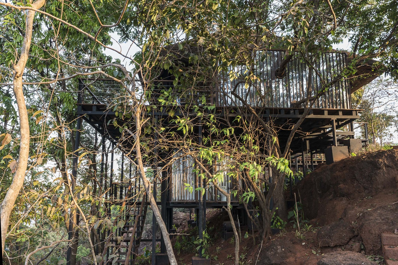 treehouse in forest tala treehouse villa alibaug india