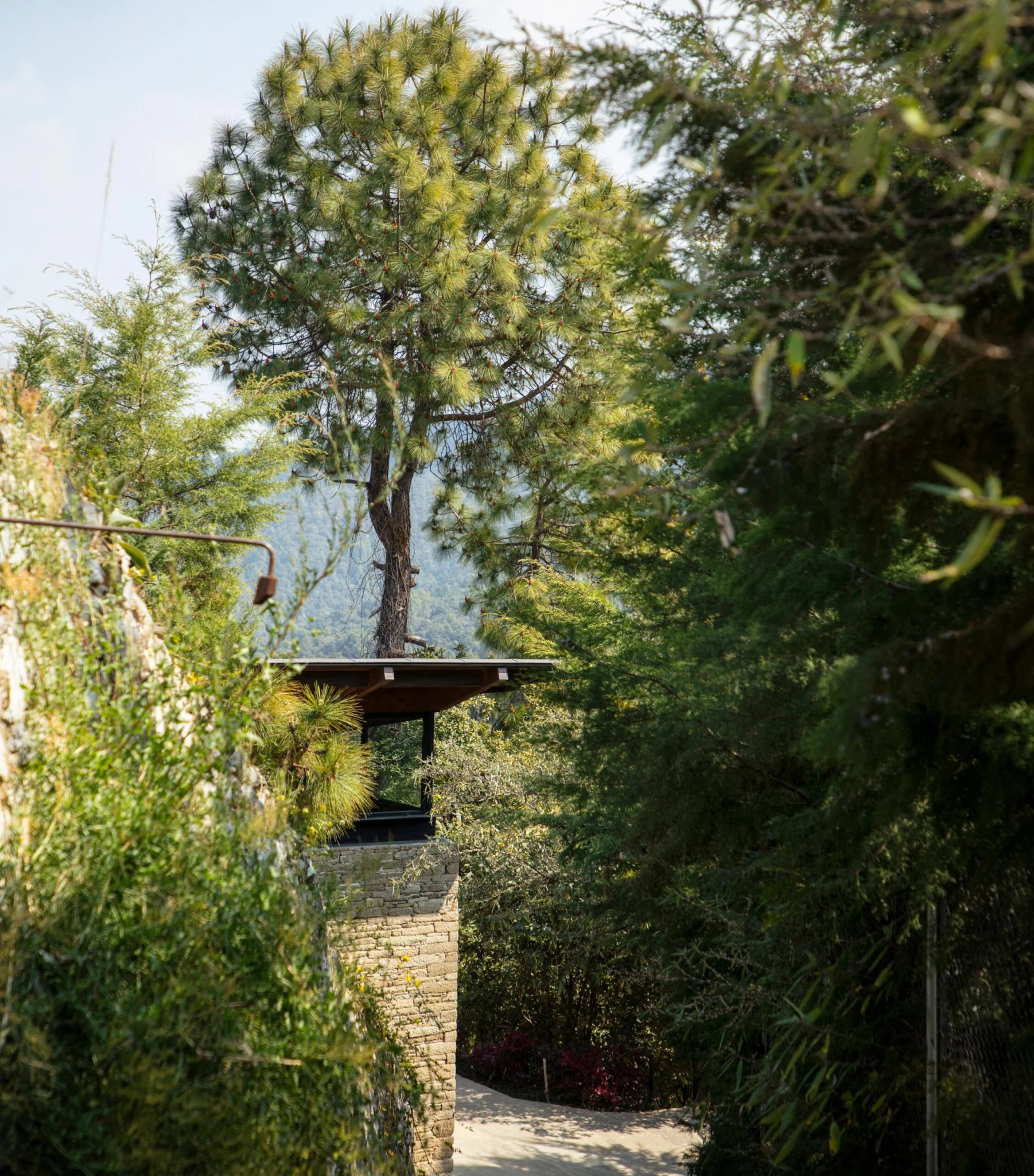 Himalayan Mountain Home roof edge