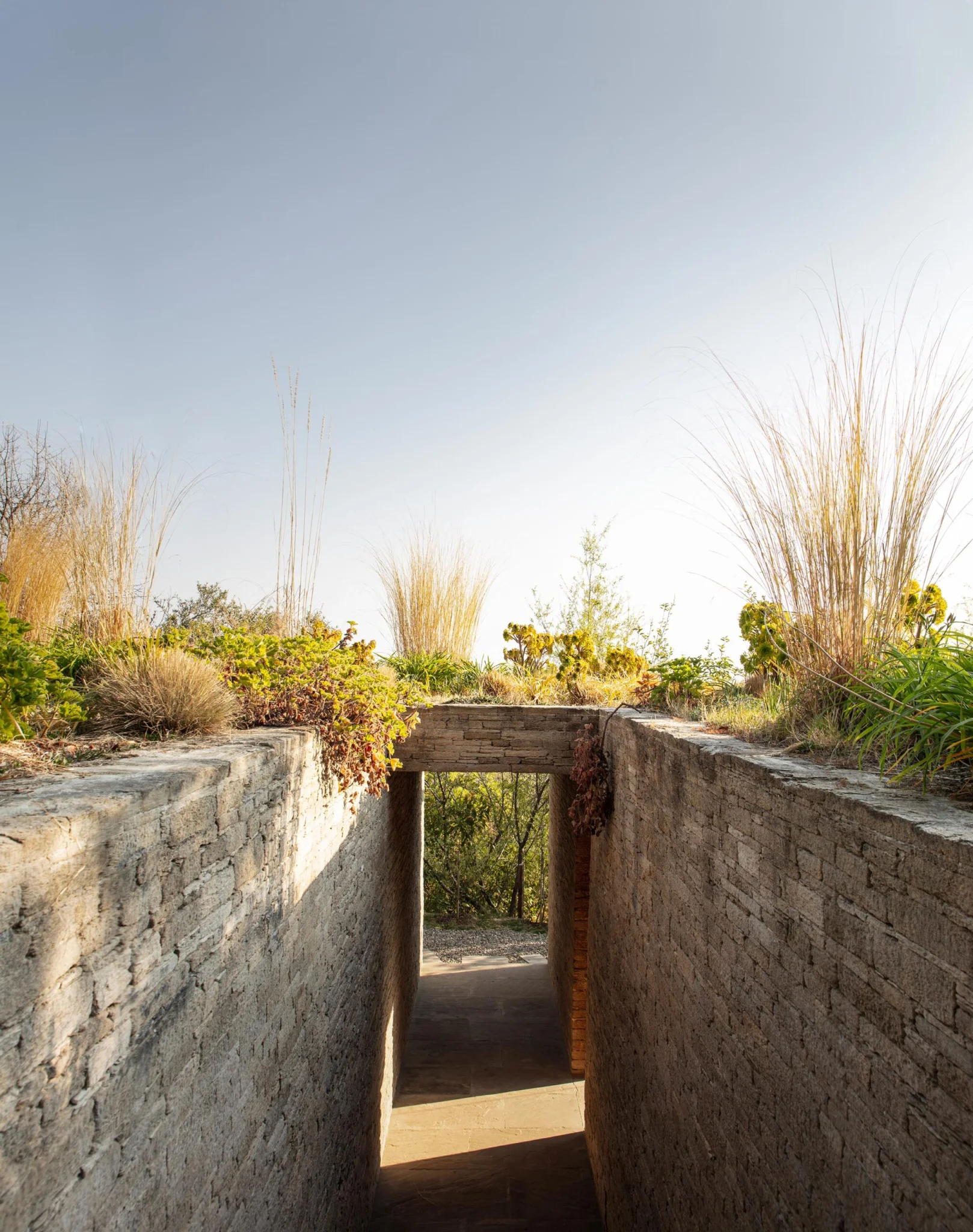 Himalayan Mountain Home green roof