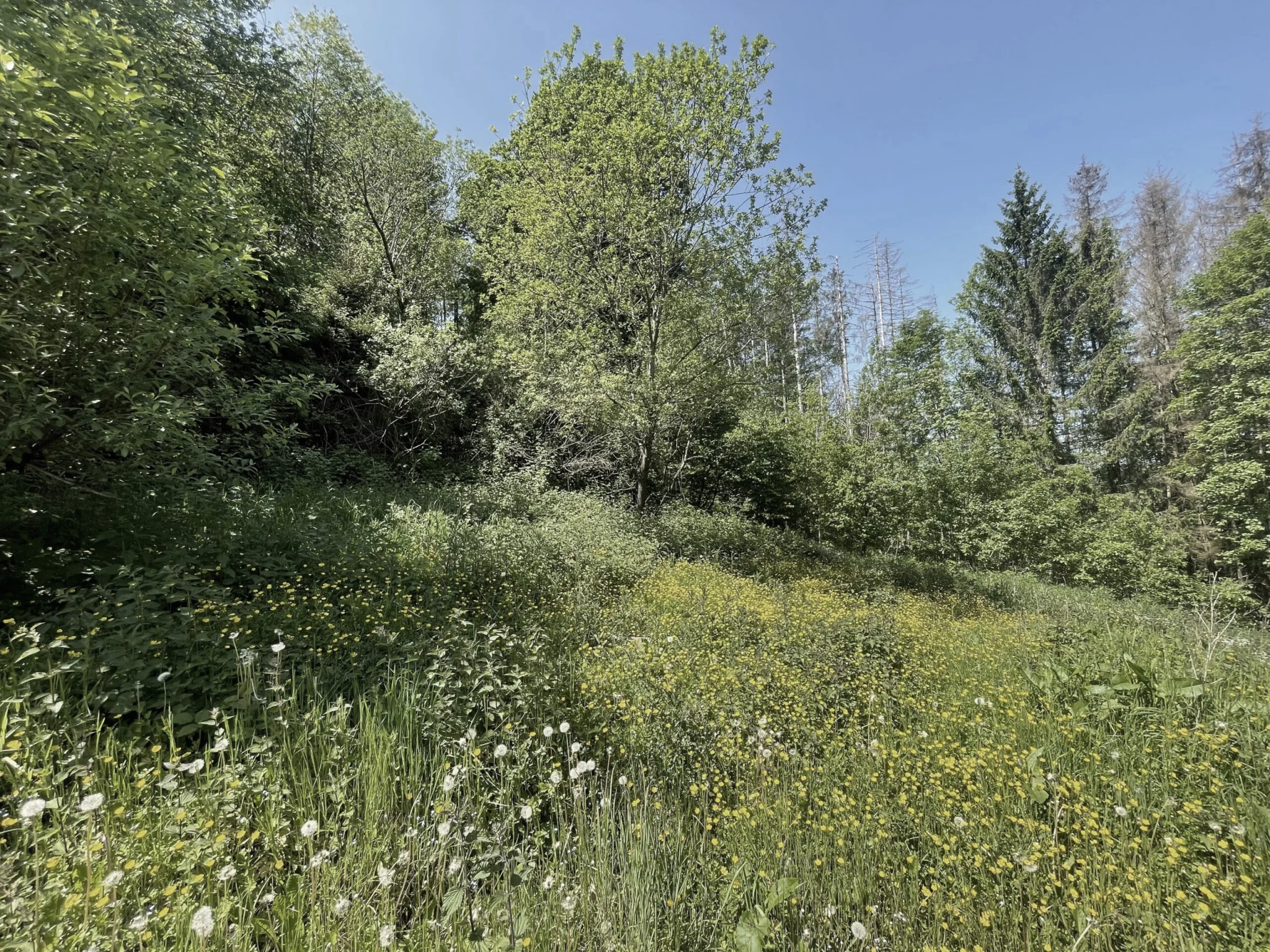 Bouillon nature retreat location.